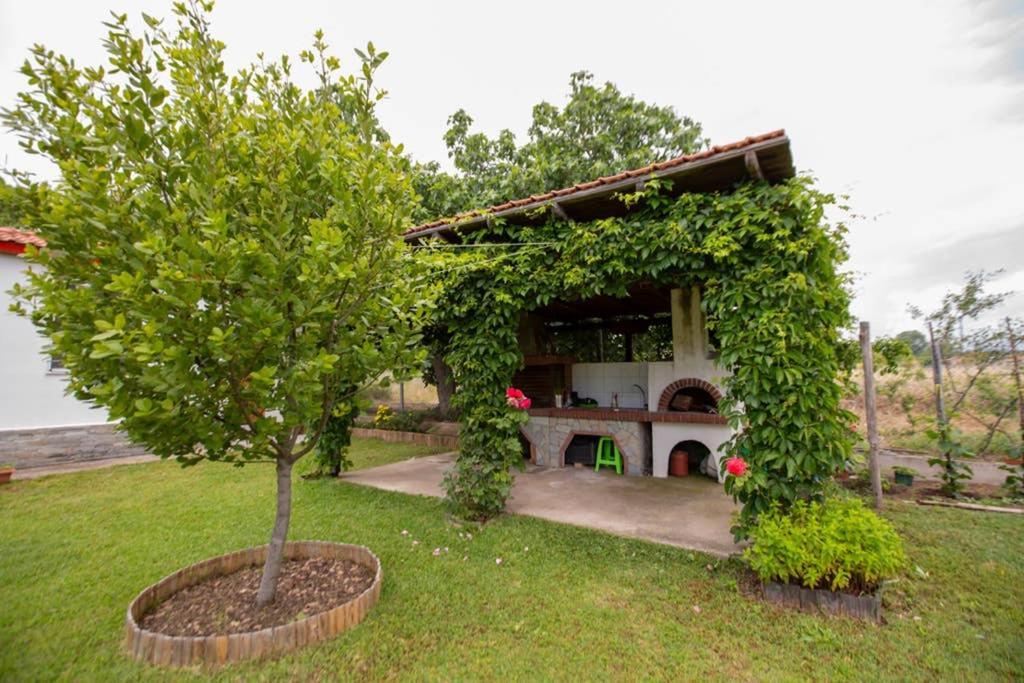 Agrampeli Villa Jeriszósz Kültér fotó